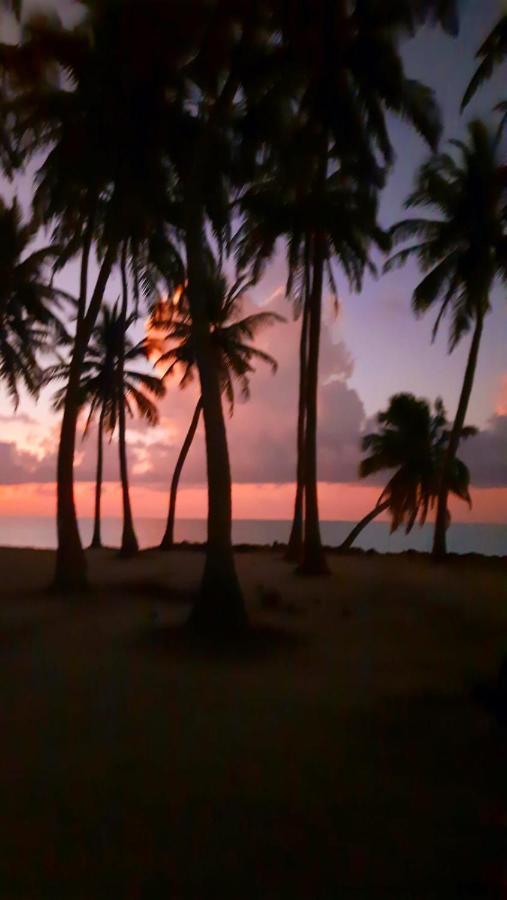 Mystic Maldives Mathiveri Retreat מראה חיצוני תמונה